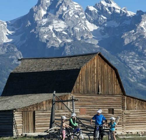 Jackson Hole Mountain Biking