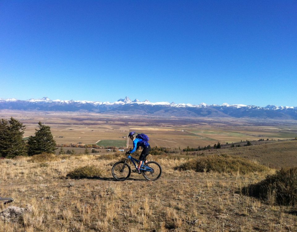 Jackson Hole Mountain Bike Tours