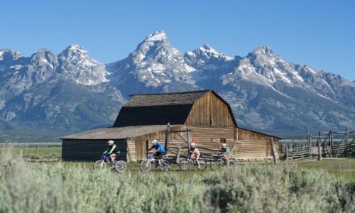 Jackson Hole Mountain Bike Tours