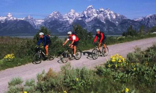 Jackson Hole Mountain Bike Tours