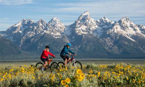 Jackson Hole Mountain Bike Tours